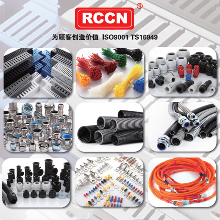 RCCN日成產品海報